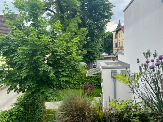 Ausblick Ausblick